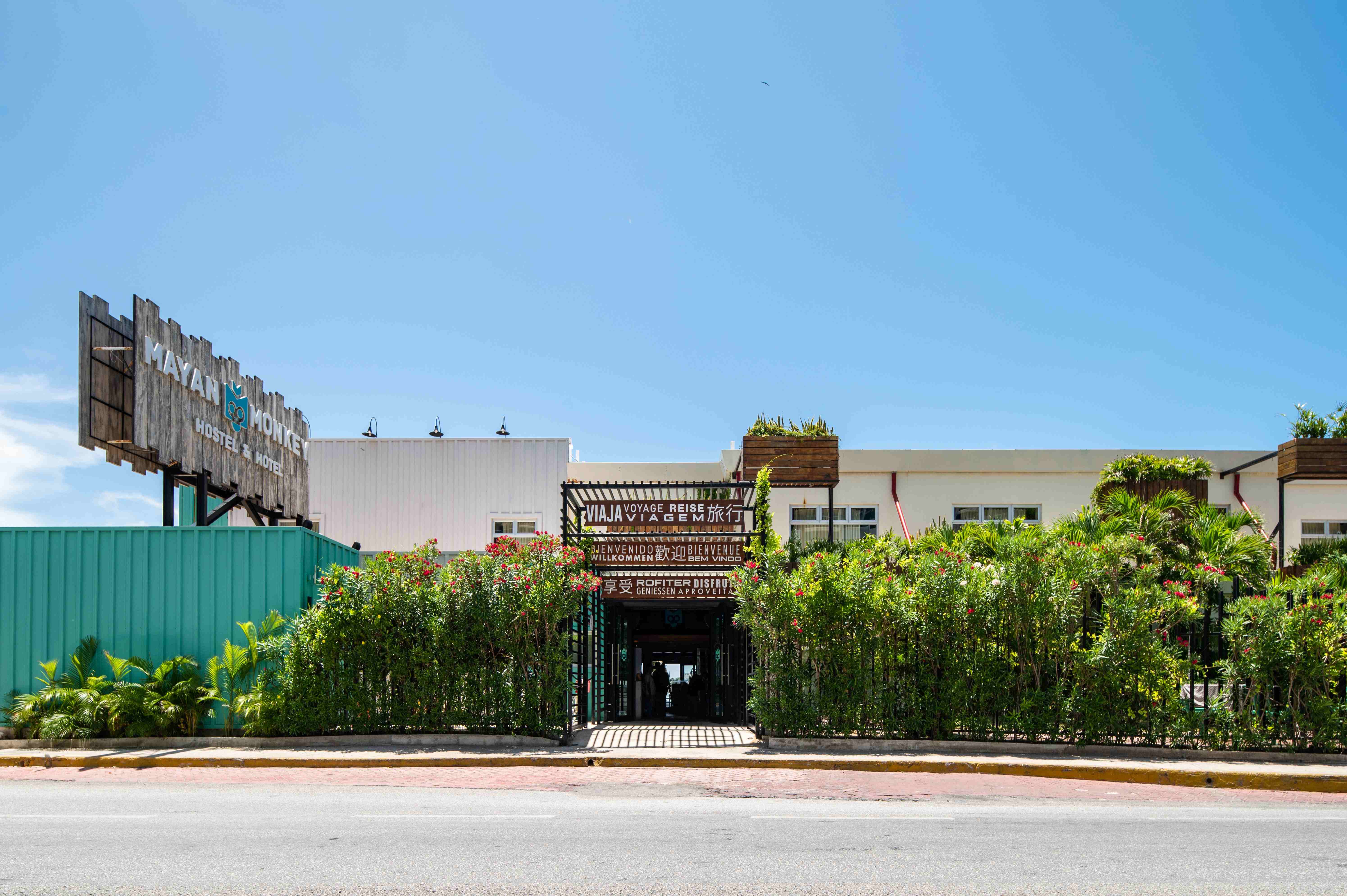 Mayan Monkey, The Monkey Membership, Membership, Vacation, Longstay, Locations, Discounts, Late Checkin, Affordable price, Stay, Travel, Adventure, Explore, Cancun, Tulum, Los Cabos, Cabo, Experience, Souvenir, Member, Breakfast, Laundry Service, Bike…