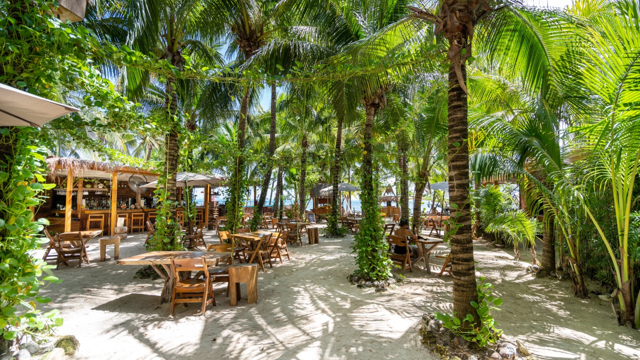 Discover the newest Areia Beach Club in Isla Mujeres
