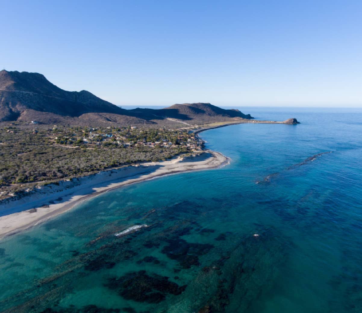 Snorkeling in Cabo Pulmo