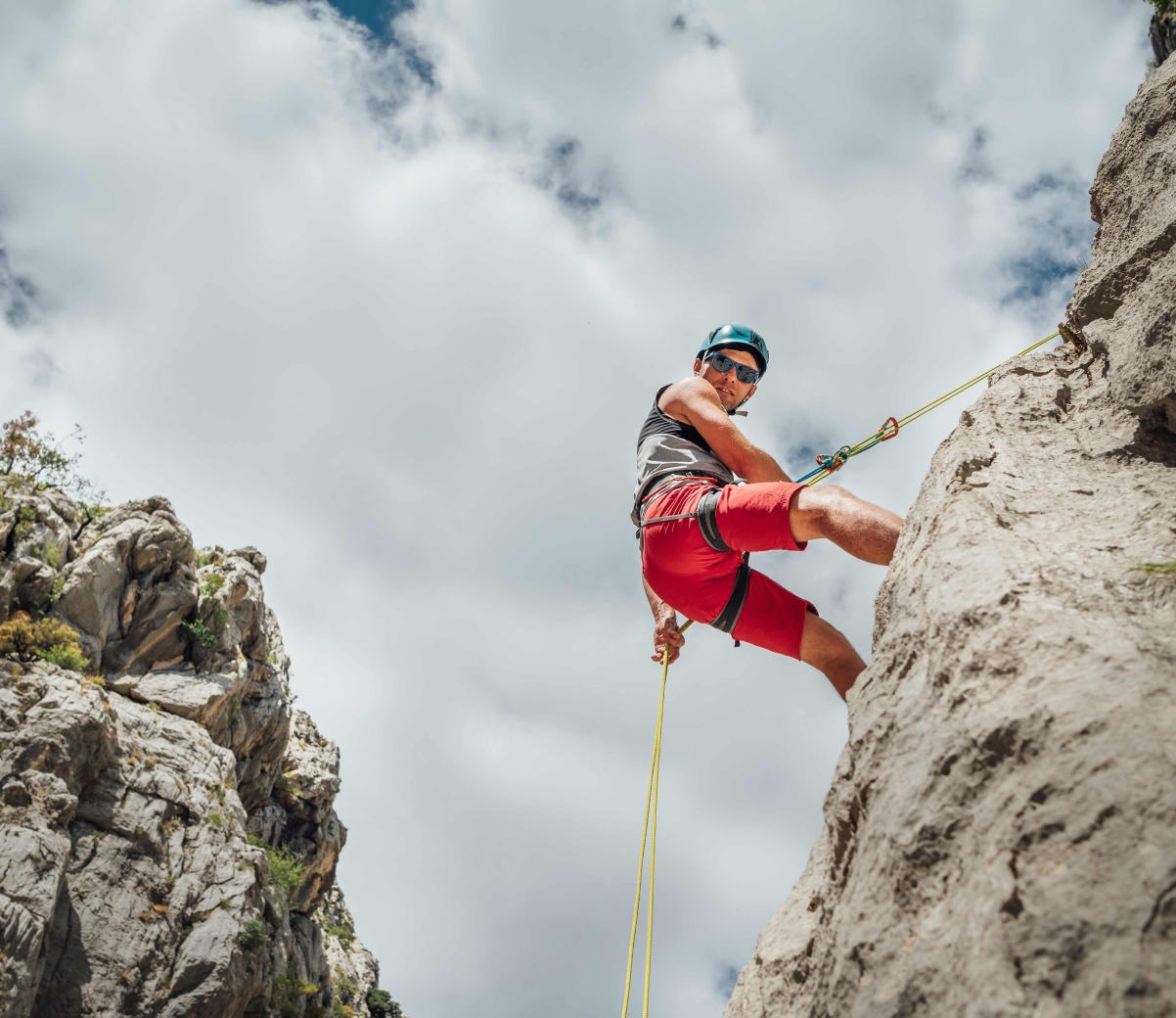Everything you didn’t know about Los Cabos Tours.