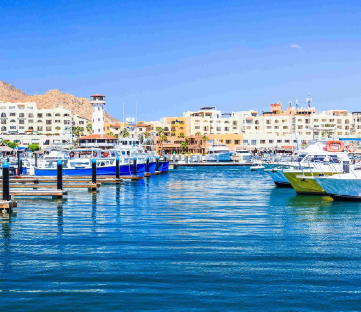 The Best Restaurants in Los Cabos San Lucas