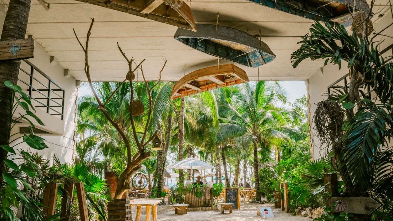 The Best Place to Stay in Isla Mujeres? Here’s What It’s Like at Mayan Monkey