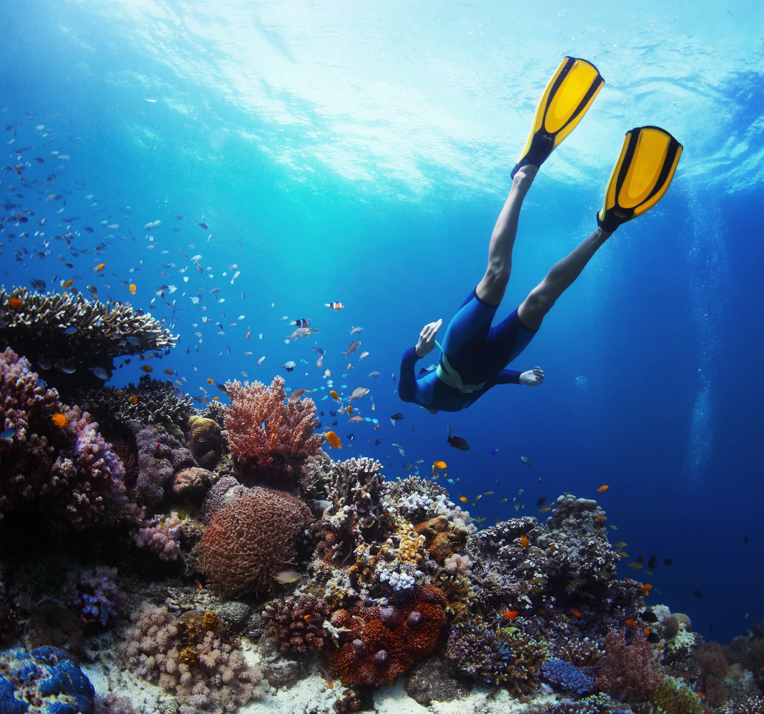 Ecotourism in Cancun