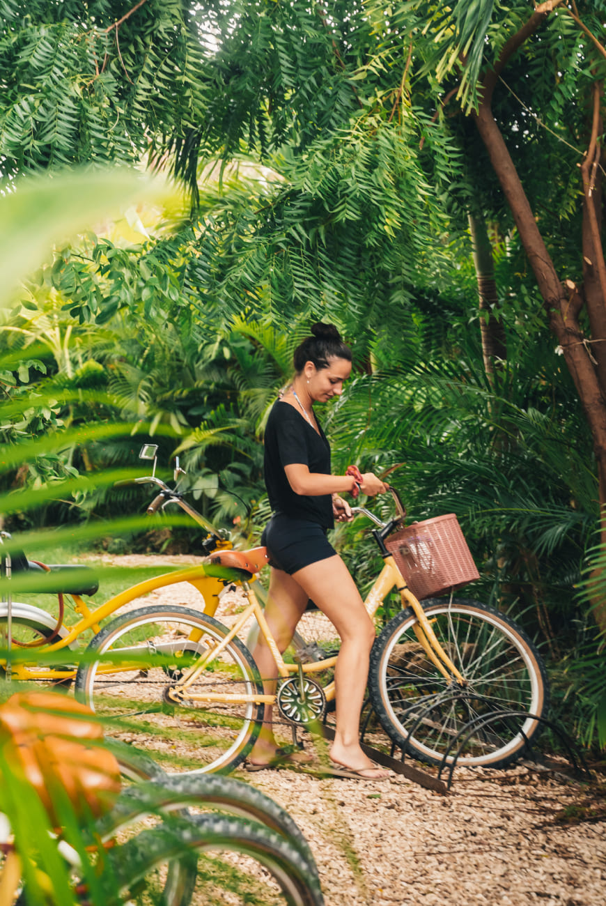 Greener World — Mayan Monkey eco action 1
