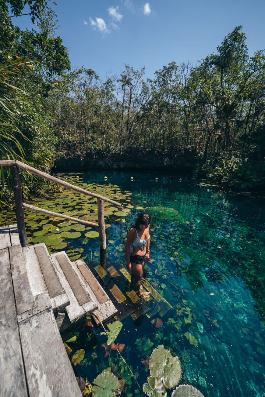 Greener World — Mayan Monkey eco action 8