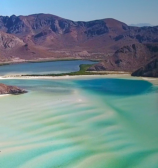 Los Cabos — Mayan Monkey
