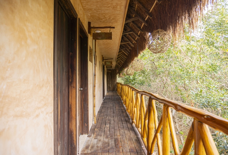 Private Jungle Room — photo 4